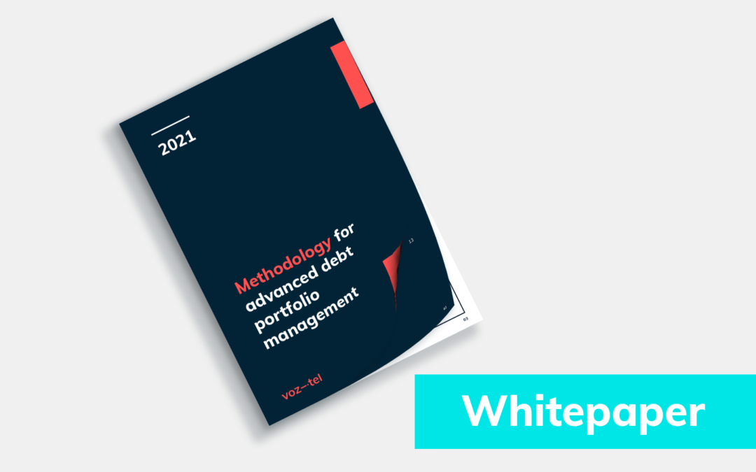 Whitepaper: Methodology for advanced debt portfolio management